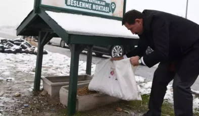 Elleriyle beslediği köpekler 2 yaşındaki çocuğu parçaladı