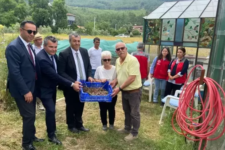 Dalaman’da Çilek ve Salep Hasadına Öğrenciler Katıldı