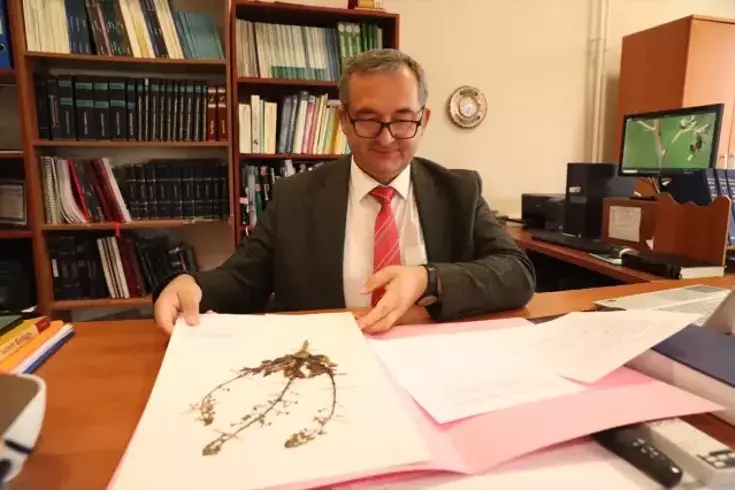 Sıraca Otu Üzerinde Kimyasal Savunma Araştırması Başlatıldı